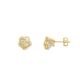Brinco Florzinha Com Zirconia