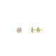 Brinco Flor Com Strass